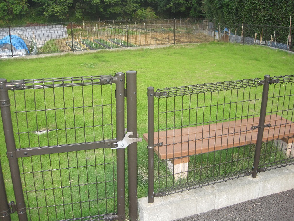 Other common areas. Shared garden