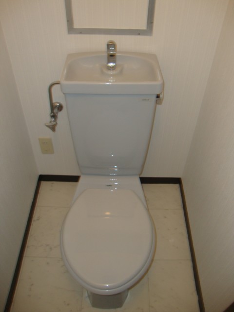 Toilet. Beautiful toilet