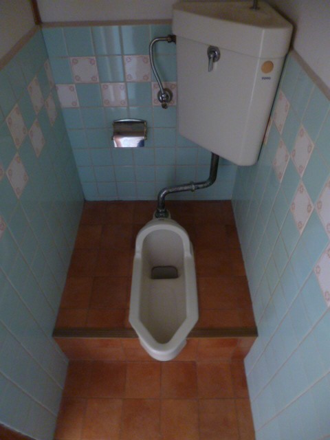 Toilet