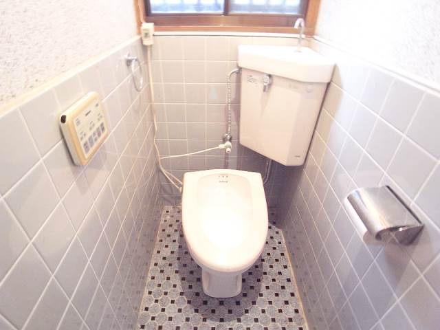 Toilet. Now with a toilet bidet