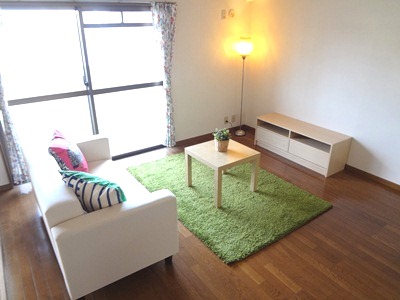 Living and room. Living