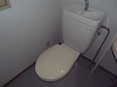 Toilet. Bringing OK of mobile phones and manga