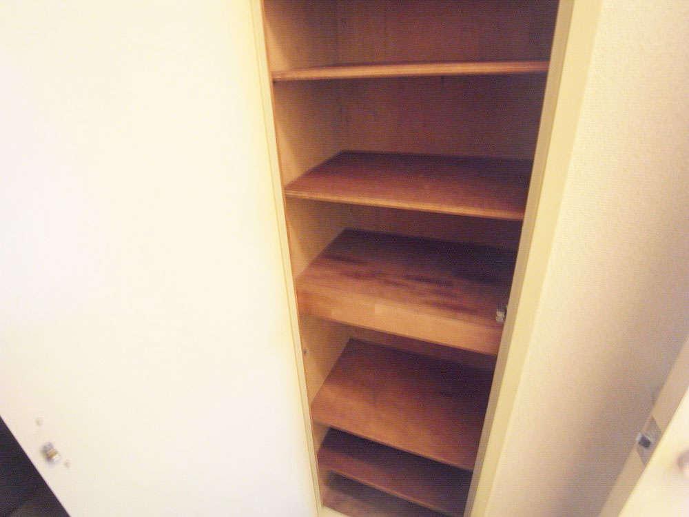 Entrance. Shoes BOX you can store plenty