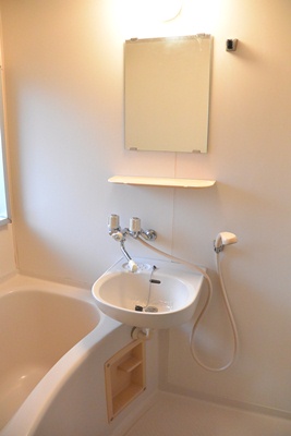 Washroom. Wash basin