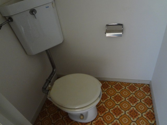 Toilet