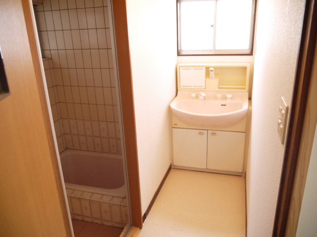 Other room space. This basin.