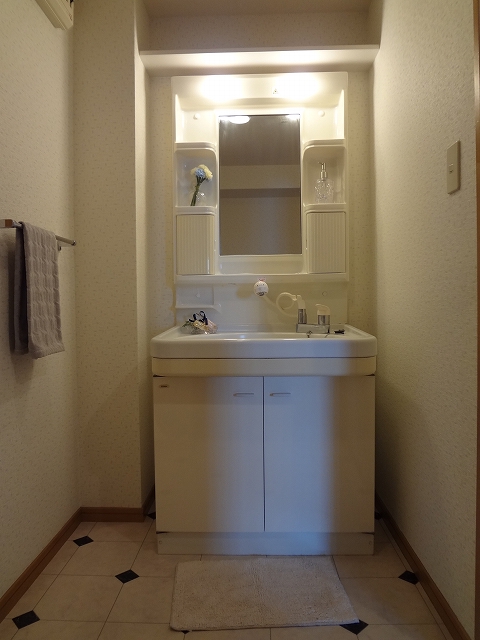 Washroom. Shampoo is Dresser!