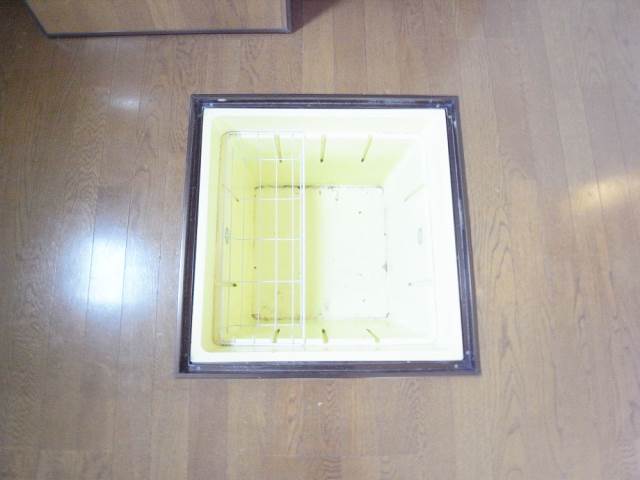 Receipt. Useful underfloor storage of the first floor unique