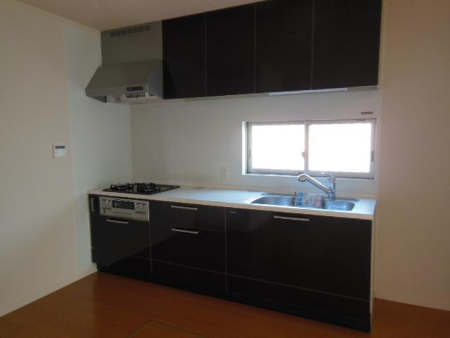 Kitchen. Indoor (September 2013) Shooting