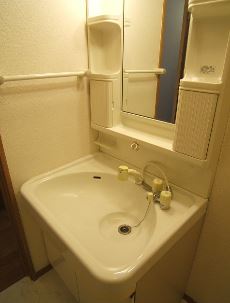 Washroom. Shampoo dresser