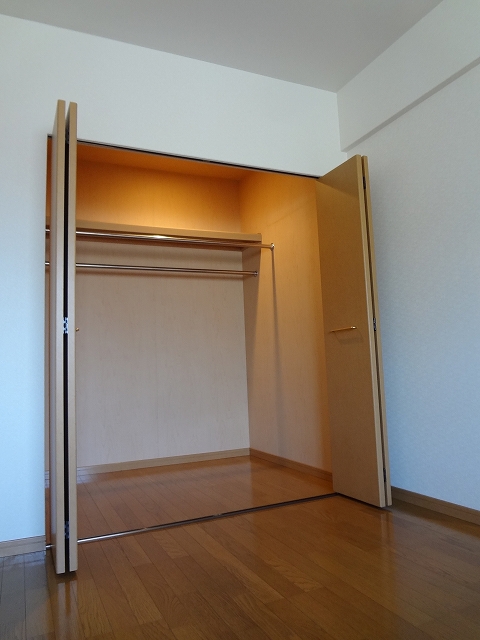 Receipt. Excellent storage capacity of a walk-in closet! ! 