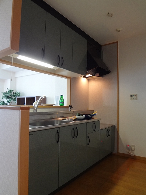 Kitchen. Easy-to-use kitchen! ! 