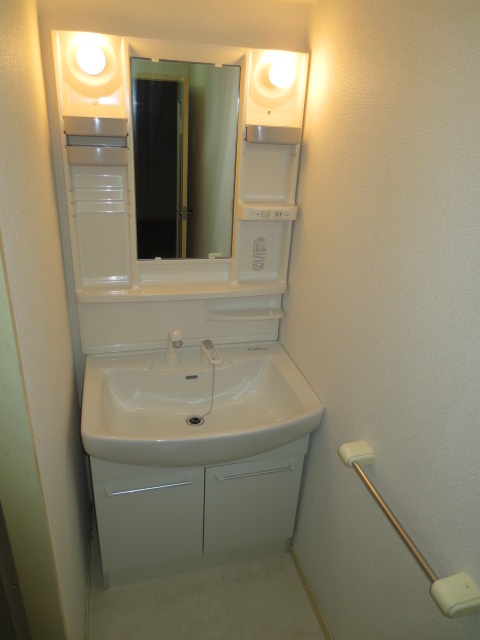 Washroom. Shampoo dresser