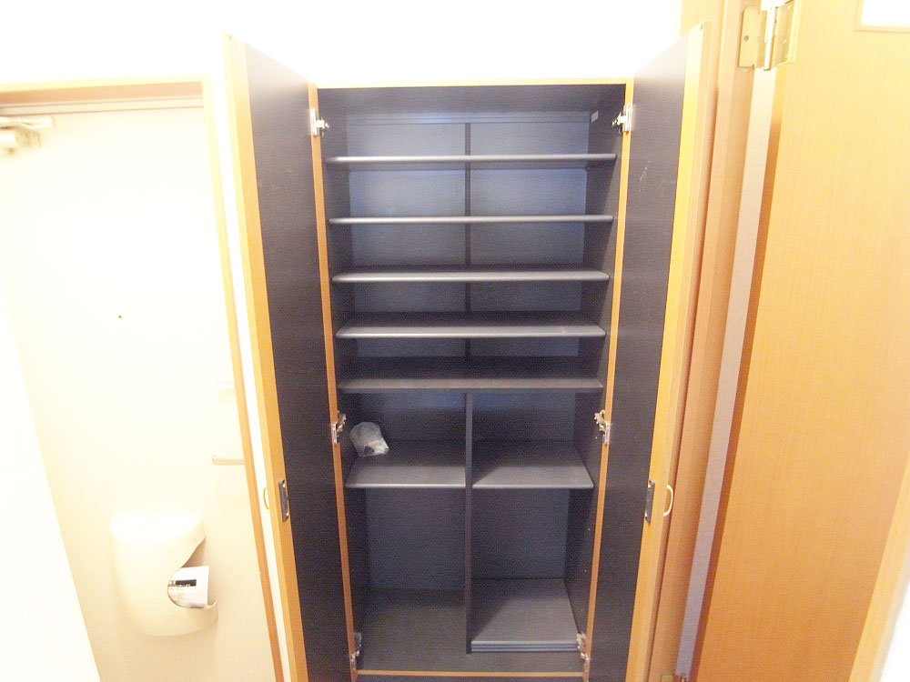 Entrance. Shoes BOX equipped with high-capacity