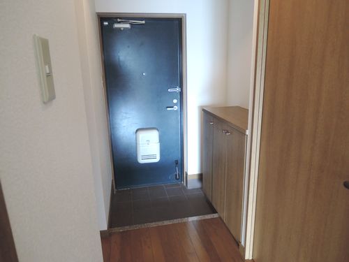 Entrance. Shoe box there