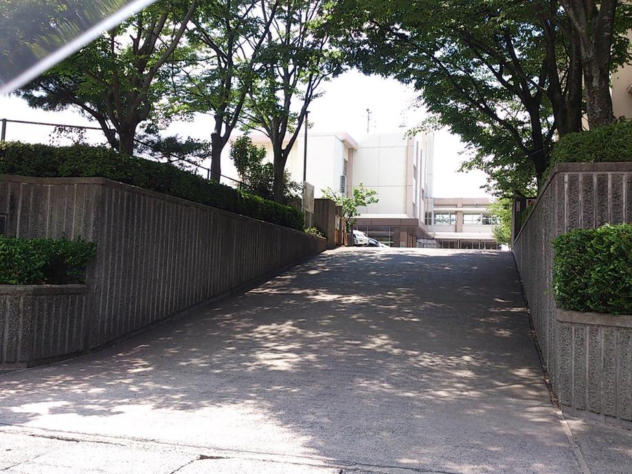 Other. Tomb junior high school