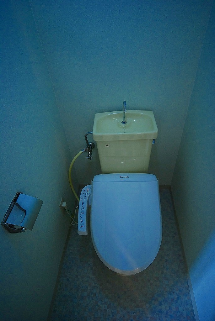 Toilet. Toilet