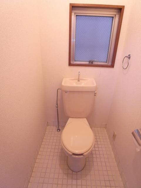 Toilet. The window with the toilet