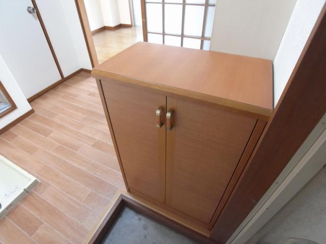 Entrance. With a shoe box