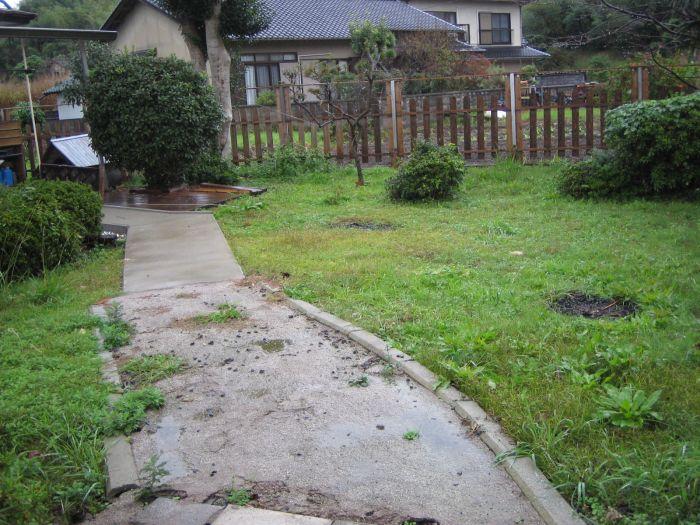 Garden. South garden