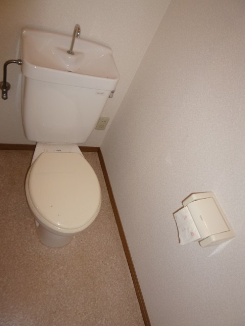 Toilet. It is a flush toilet ☆