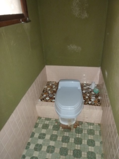 Toilet. From the sum to Western