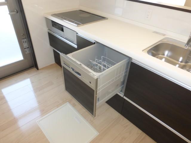 Other introspection. It comes with a dish washing dryer