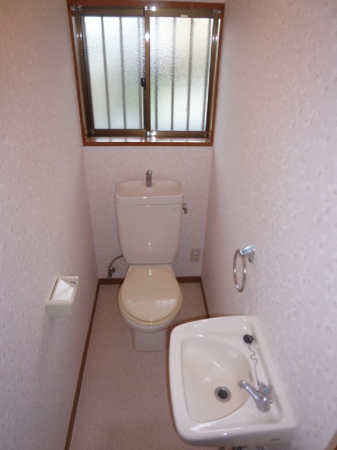 Toilet. Hand washable