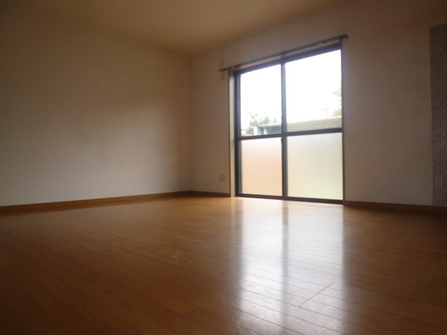 Living and room. Bright living room