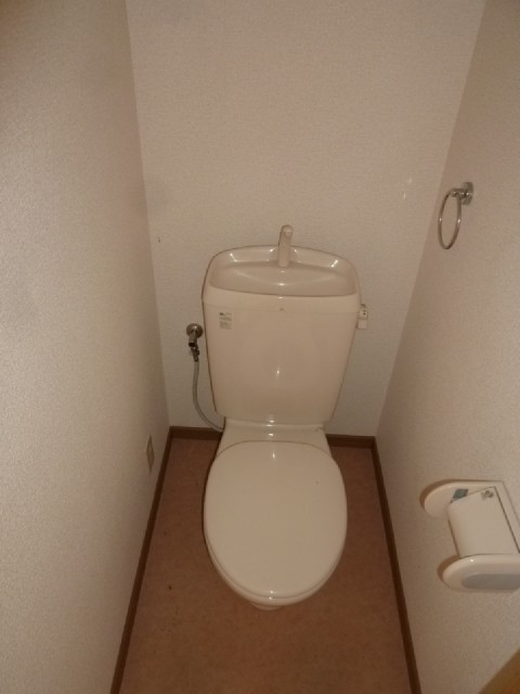 Toilet. It is a flush toilet.