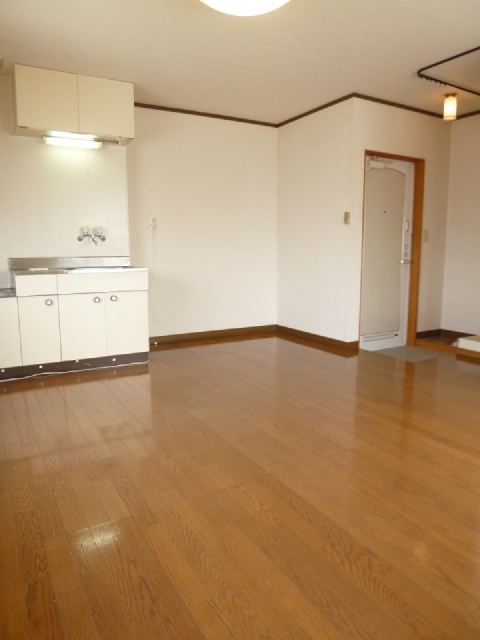 Living and room. Spacious room ☆