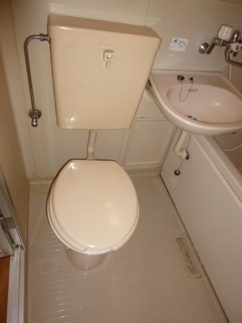 Toilet. It is a flush toilet!