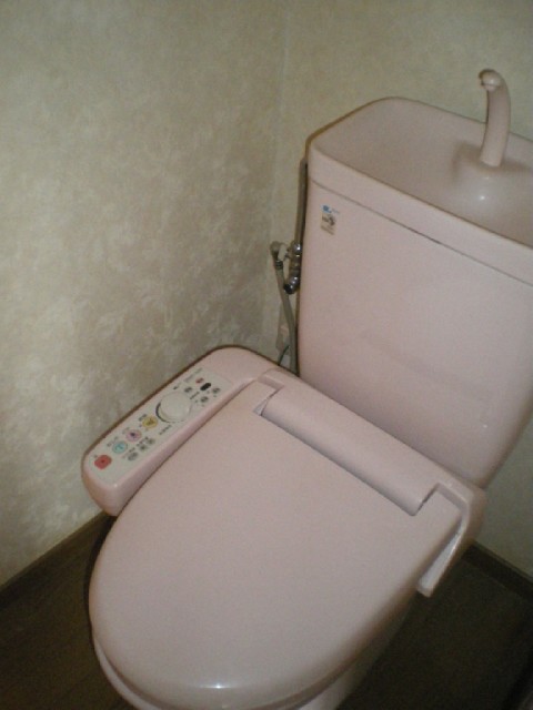 Toilet. It comes with Wishu let