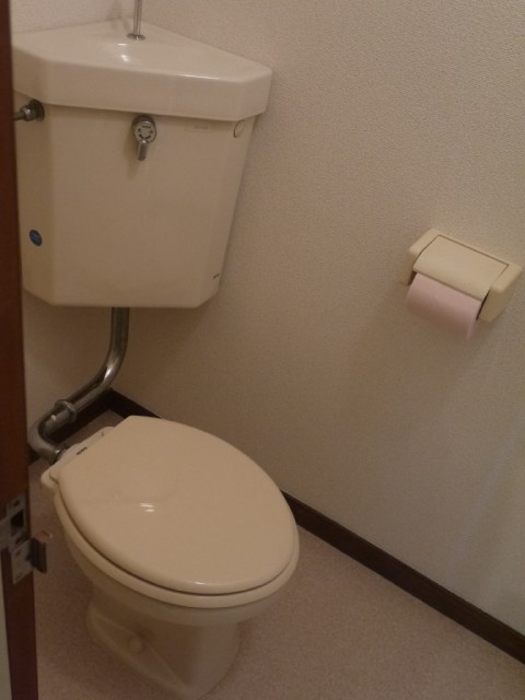 Toilet. It is a flush toilet
