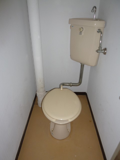 Toilet. It is a flush toilet ☆