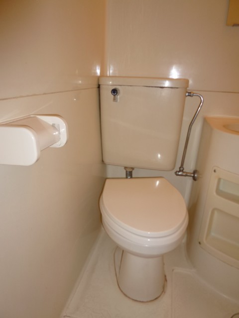 Toilet. It is a flush toilet ☆