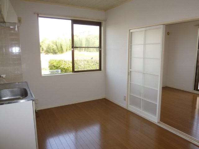 Living and room. The window is large, bright DK