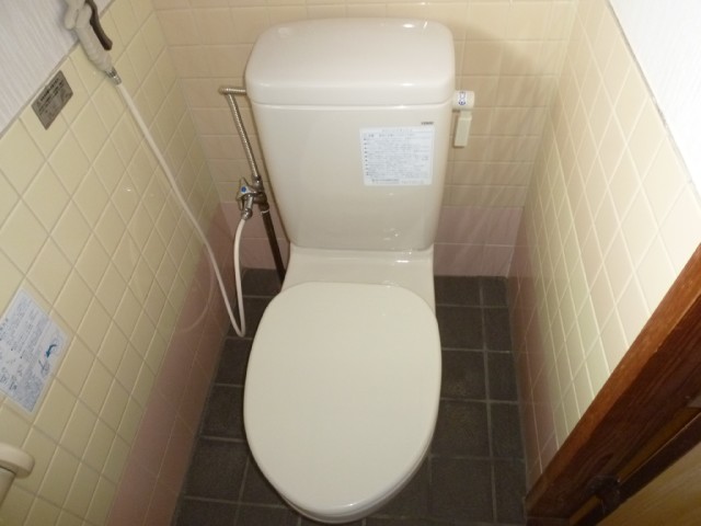 Toilet. I had made toilet bowl! ! !