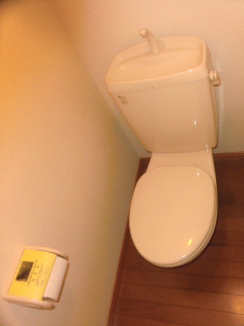 Toilet. Flush toilet