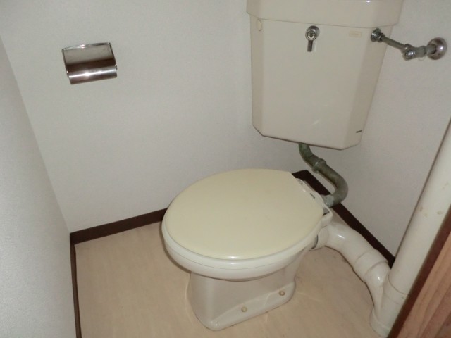 Toilet. Flush toilet