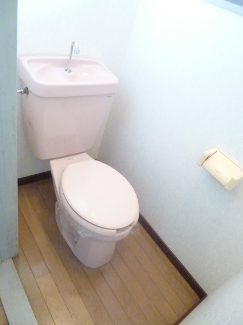 Toilet. Flush toilet