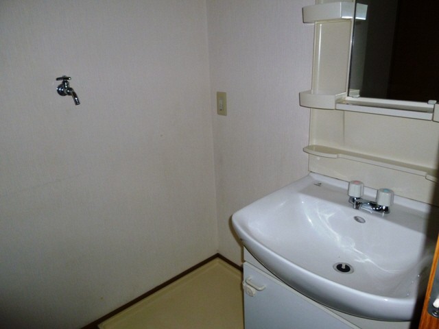 Other room space. Washing machine in the room