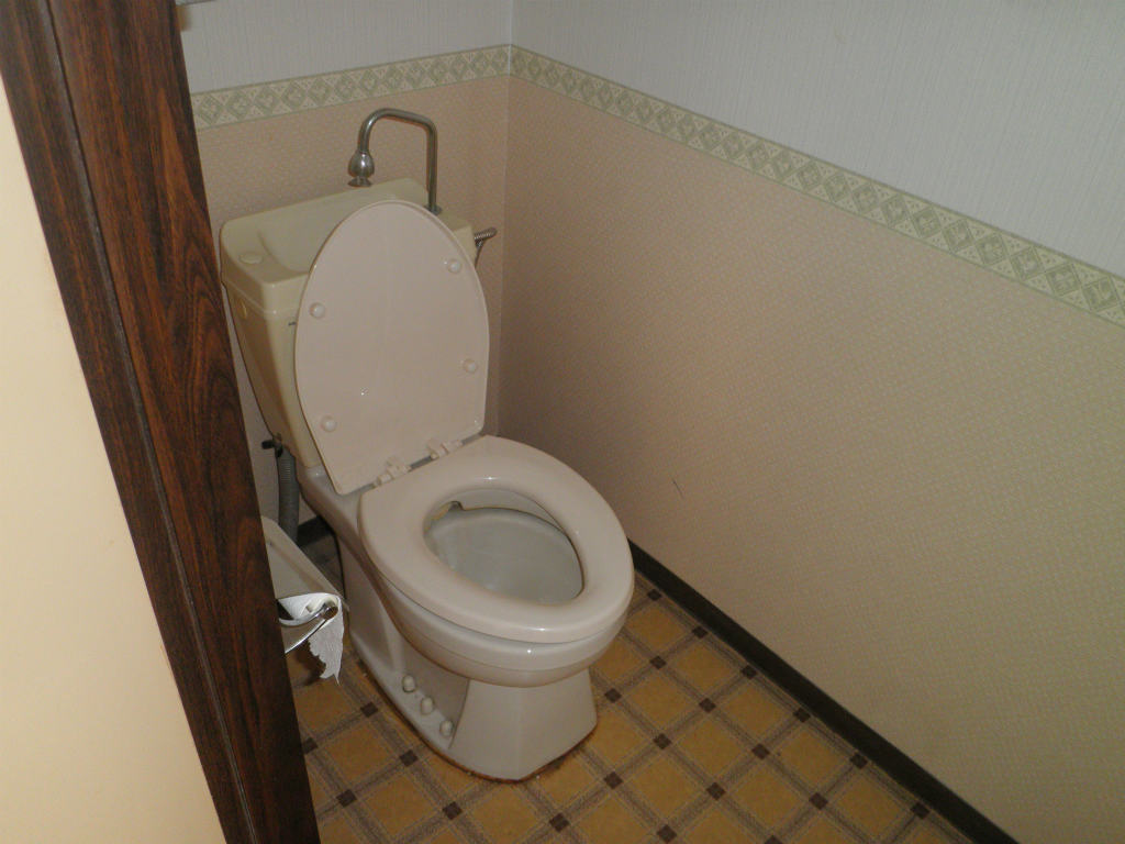 Toilet