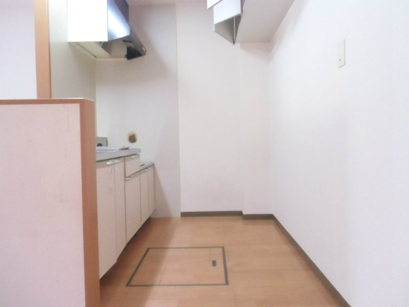 Living and room. Kitchen