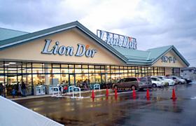 Supermarket. Rion ・ 1552m to Dole Kagamiishi shop