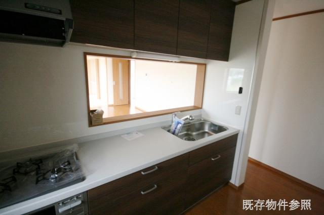 Kitchen. Water purifier with a shower faucet