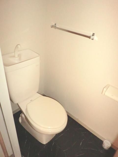 Toilet. It is the state of the toilet.