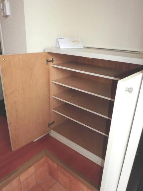 Entrance. It is with happy cupboard.