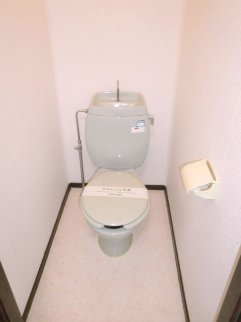 Toilet. Toilet with cleanliness