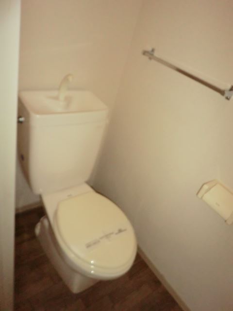 Toilet. It is a toilet with a clean. 